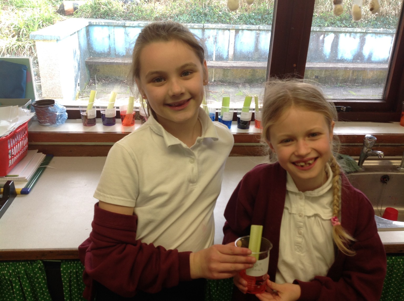 British Science Week 2024-25 in Action 