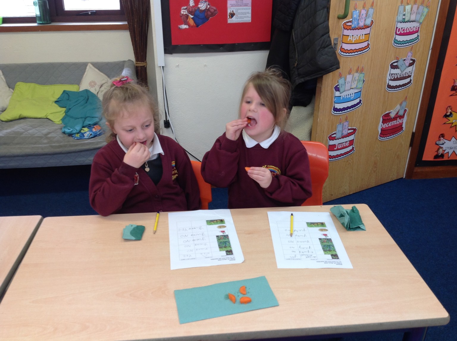 British Science Week 2024-25 in Action 