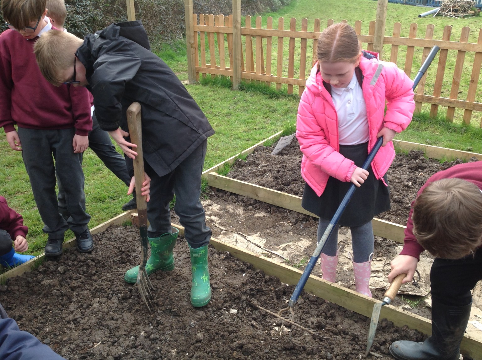 British Science Week 2024-25 in Action 