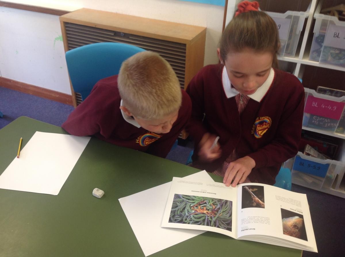 Rivers art workshop with Falmouth Art Gallery