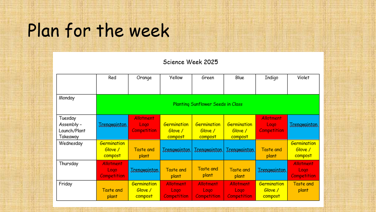 Plan for the Week