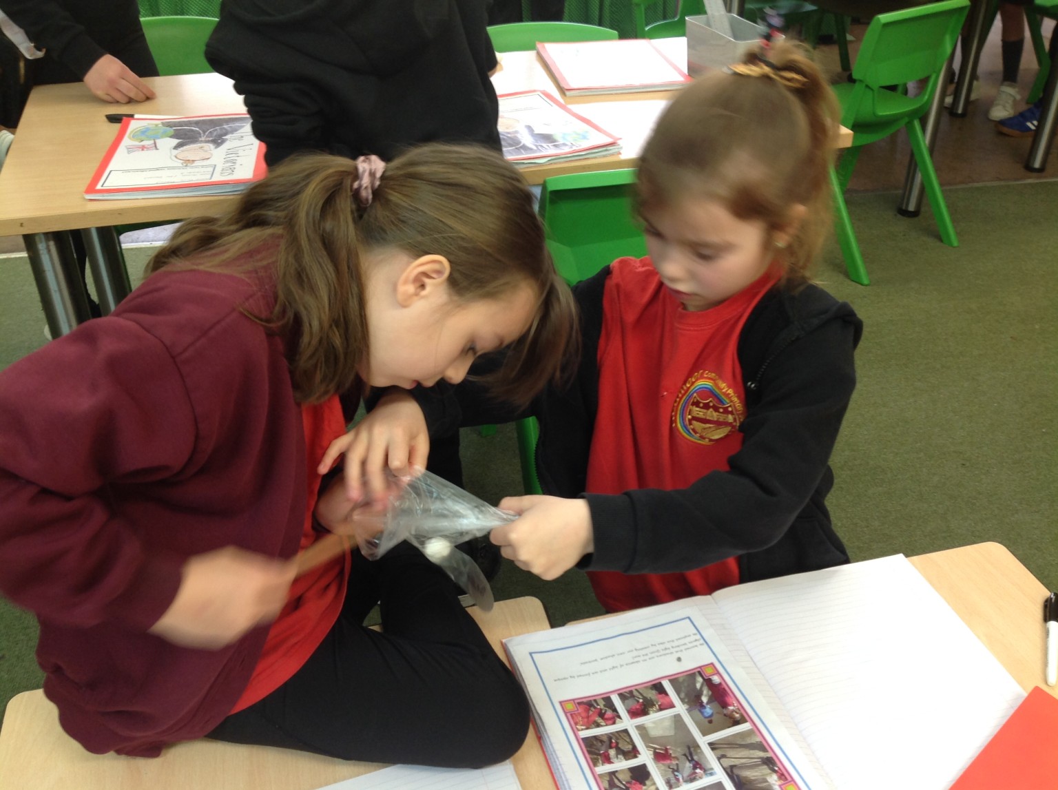 British Science Week 2024-25 in Action 