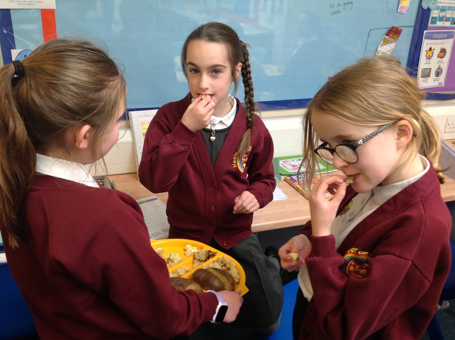 British Science Week 2024-25 in Action 