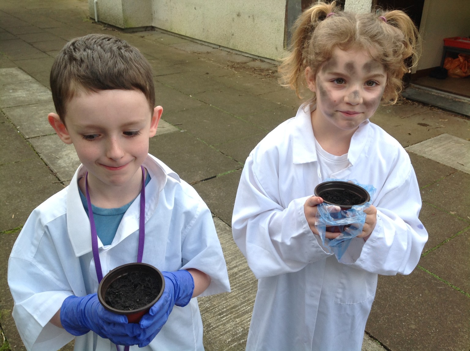 British Science Week 2024-25 in Action 