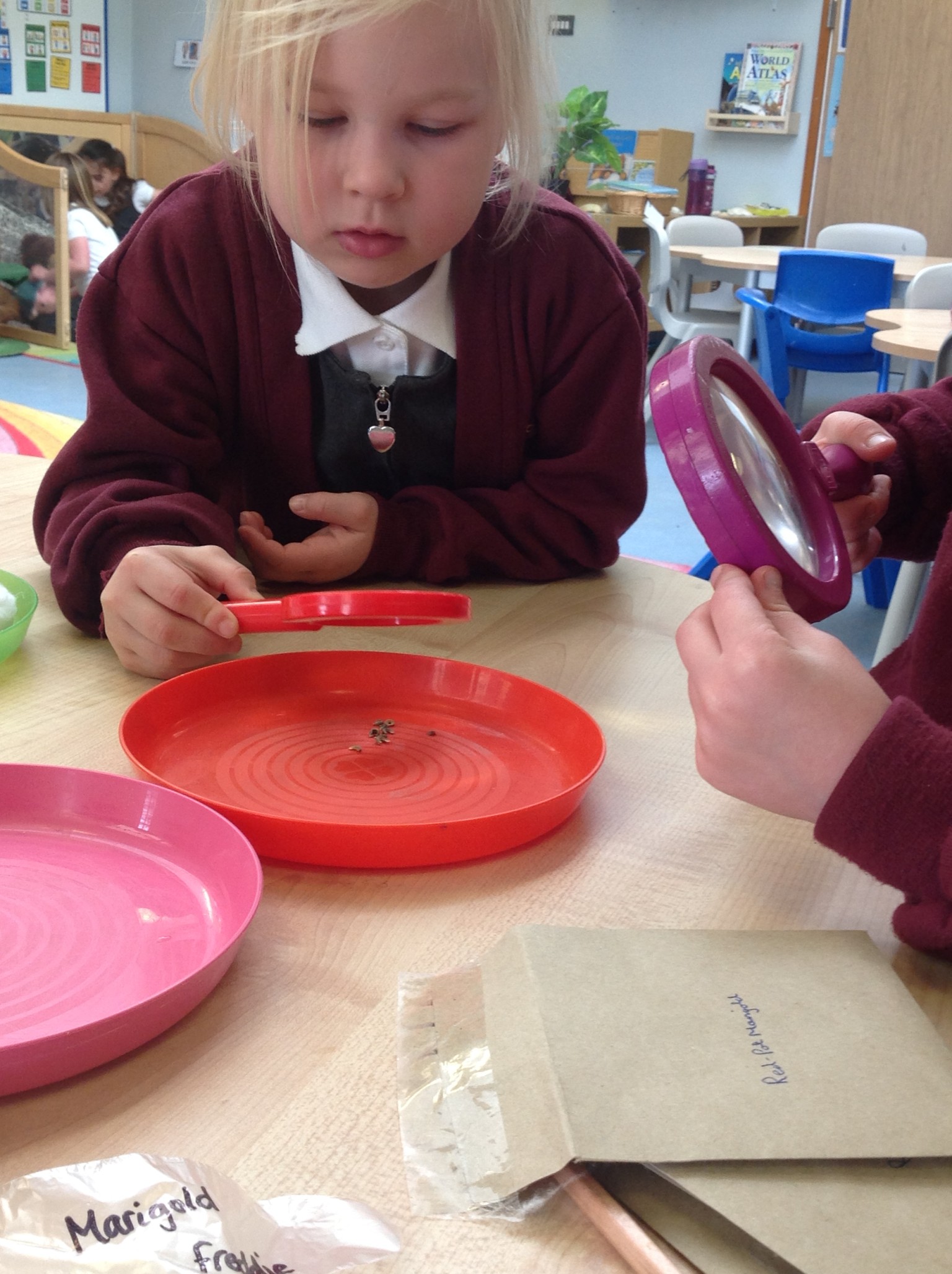 British Science Week 2024-25 in Action 