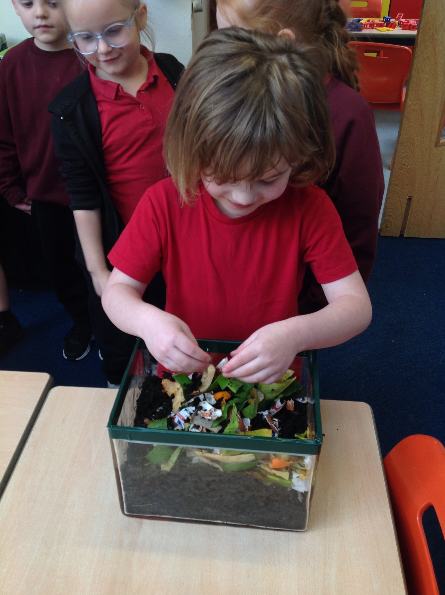 British Science Week 2024-25 in Action 