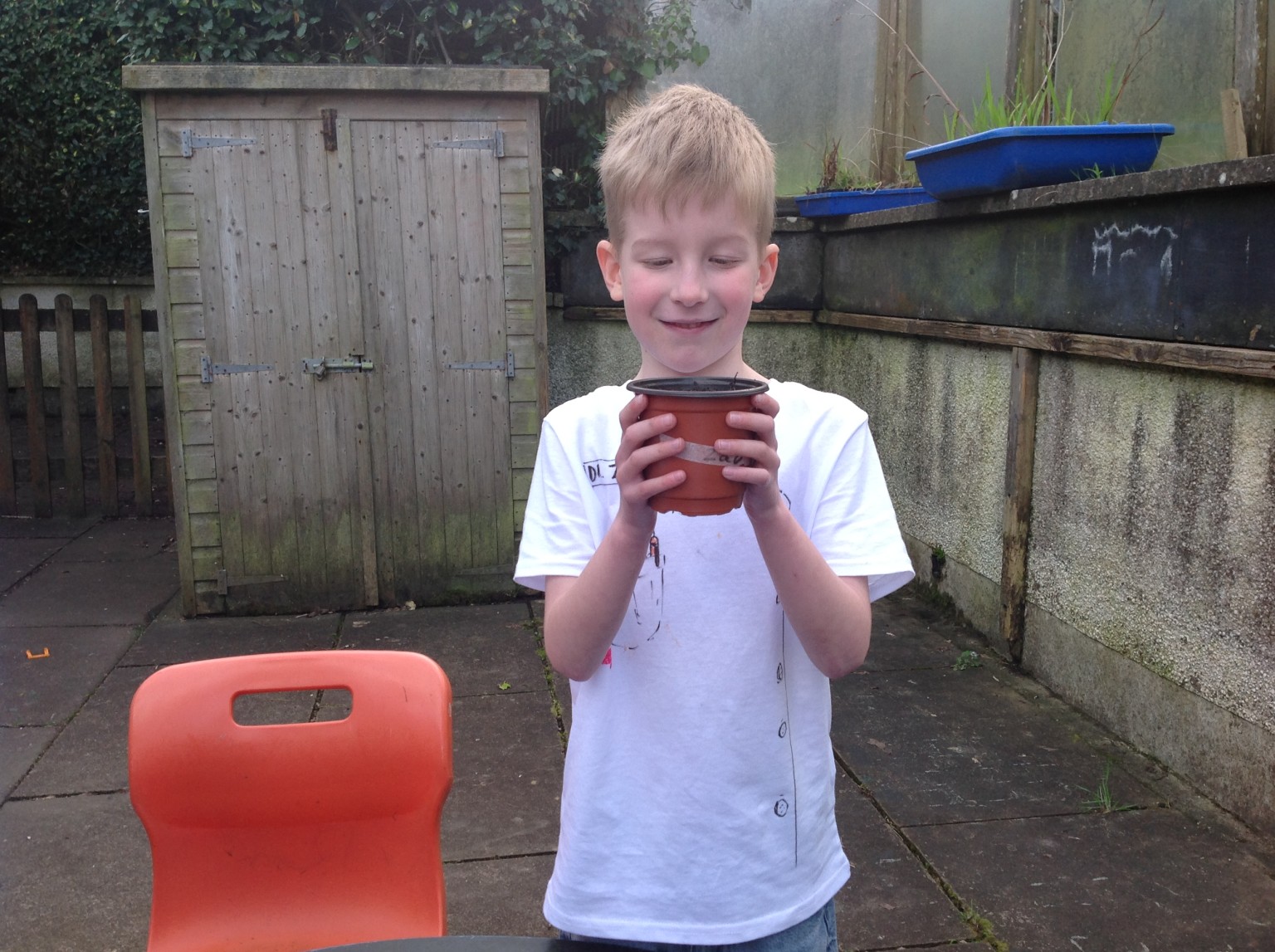 British Science Week 2024-25 in Action 