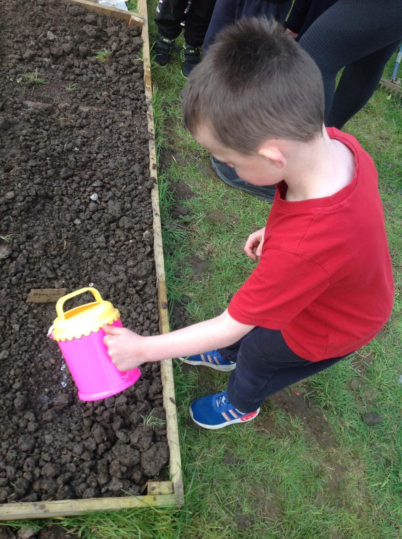 British Science Week 2024-25 in Action 