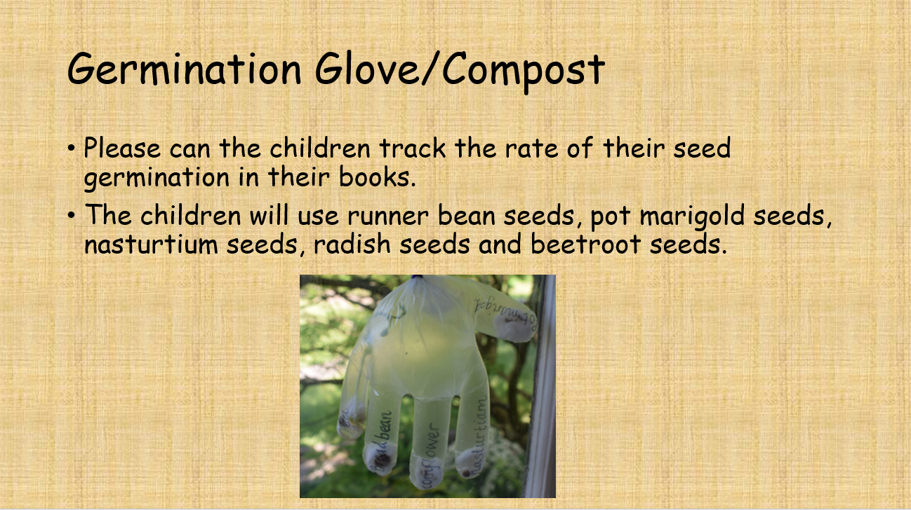 Germination Glove/Compost