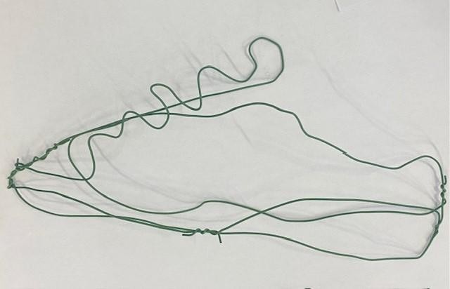 Wire sculpture