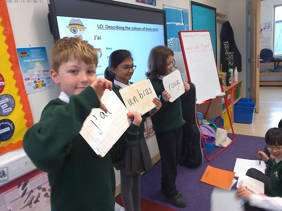 Word order game