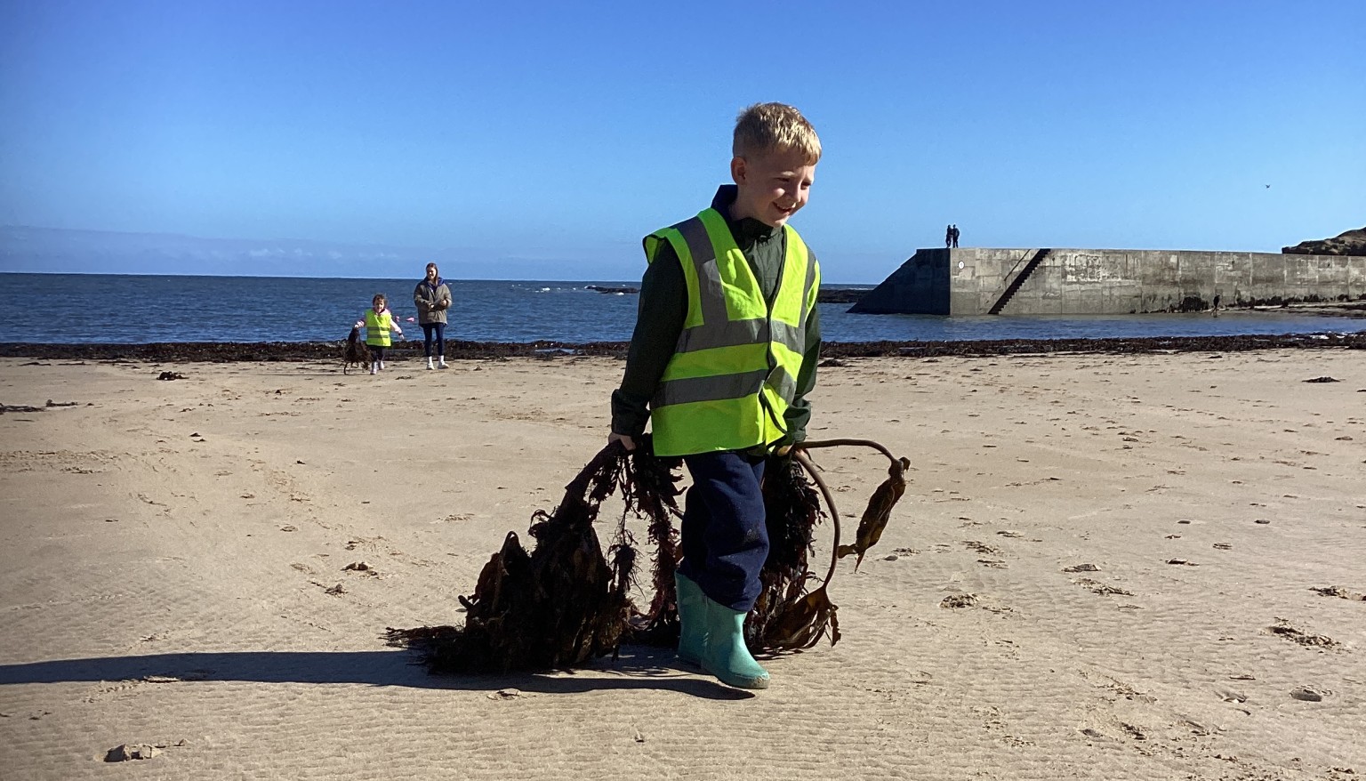 Child dragging seaweed along the beach