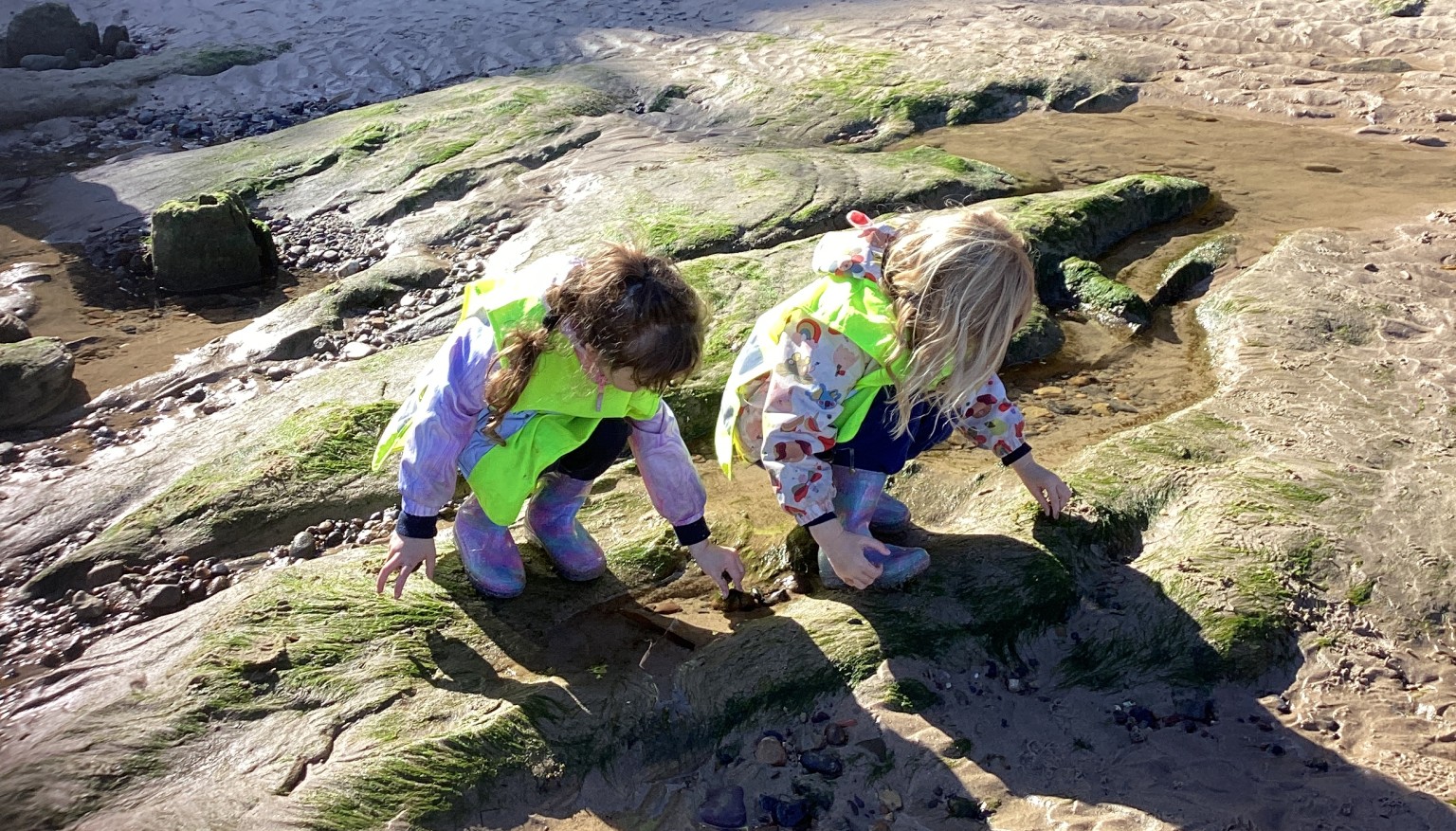 Children looking in rock pools
