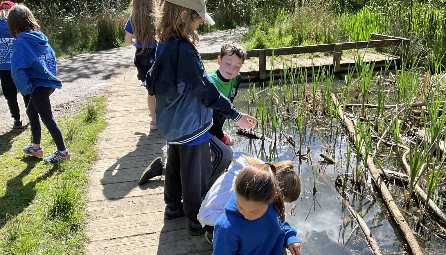 Children looking in a pond