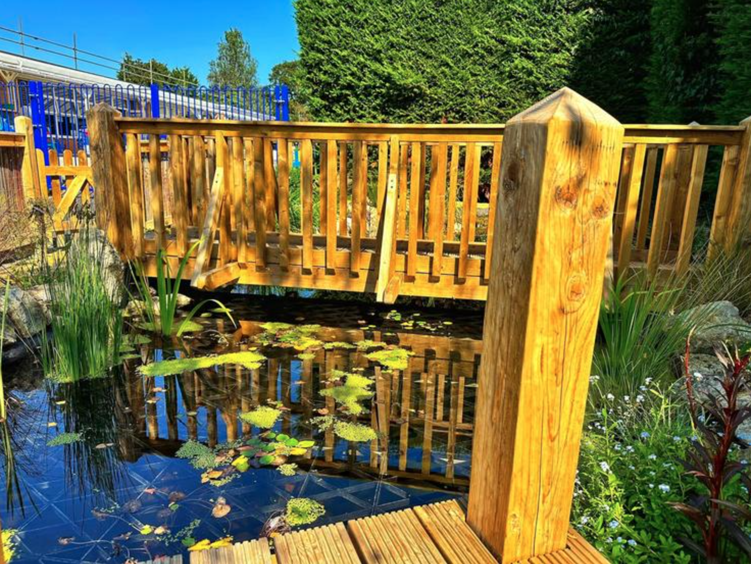 Pond