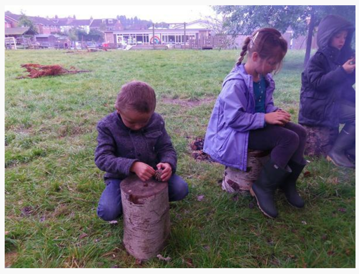 Forest School