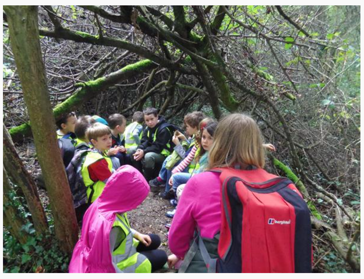 Forest School