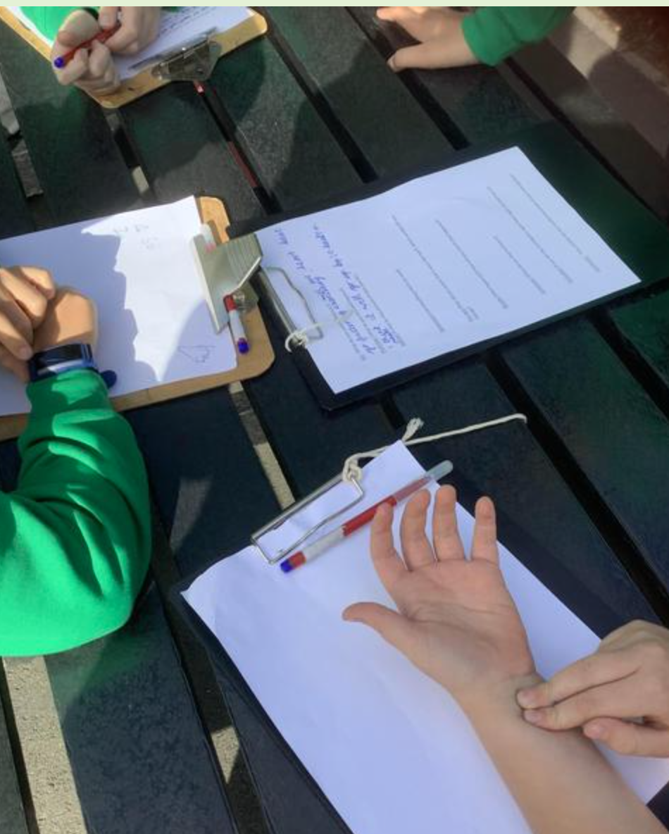 Measuring pulse rates