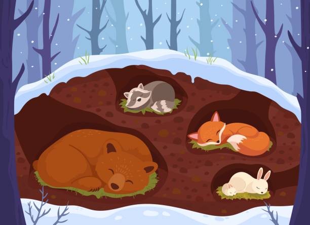 animals hibernating