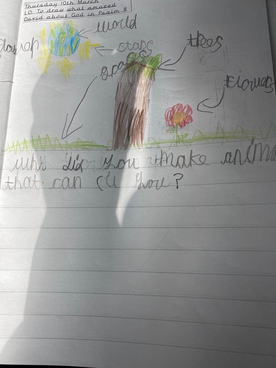 Year 1/2 Questions about the world