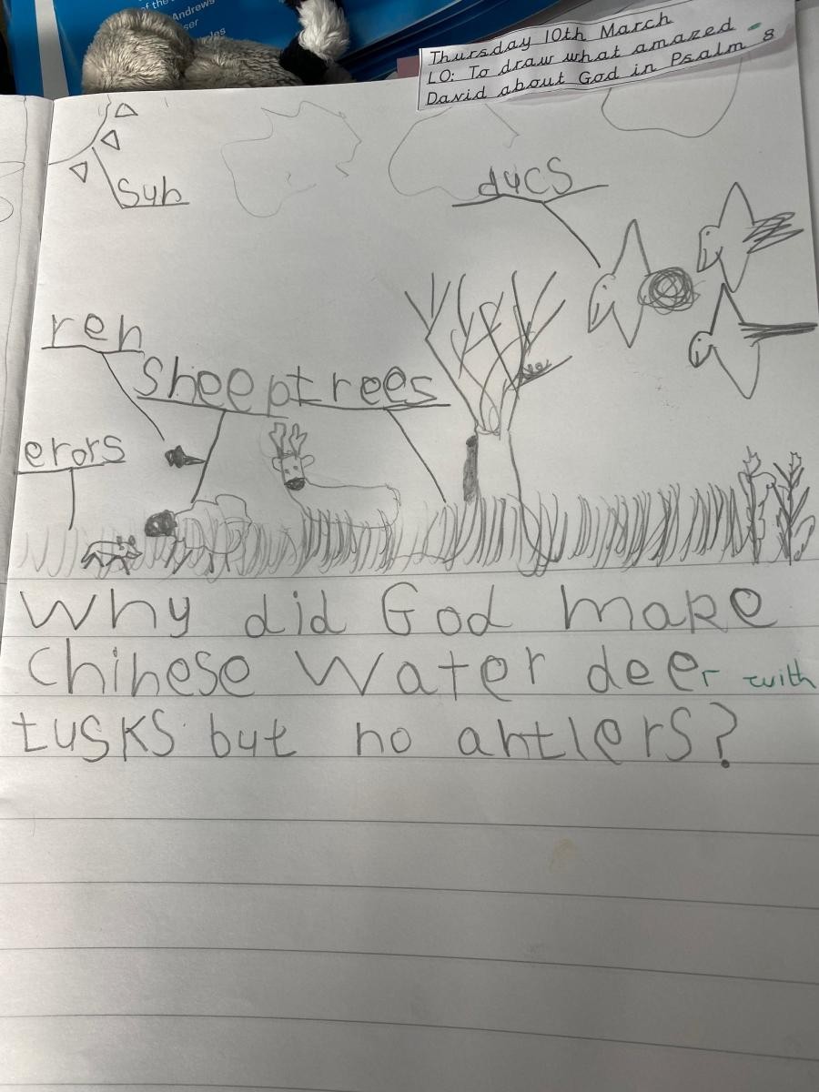 Year 1/2 Questions about the world