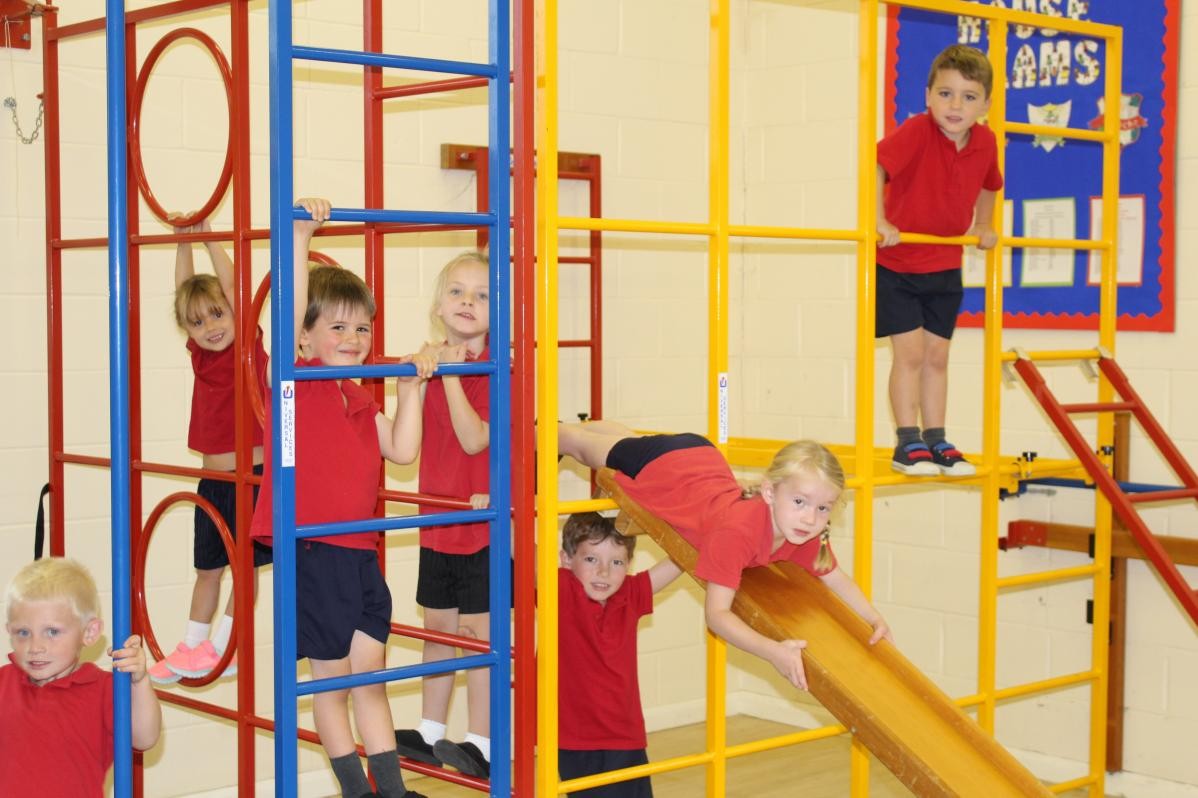 Gymnastics using the wall bars in our school hall