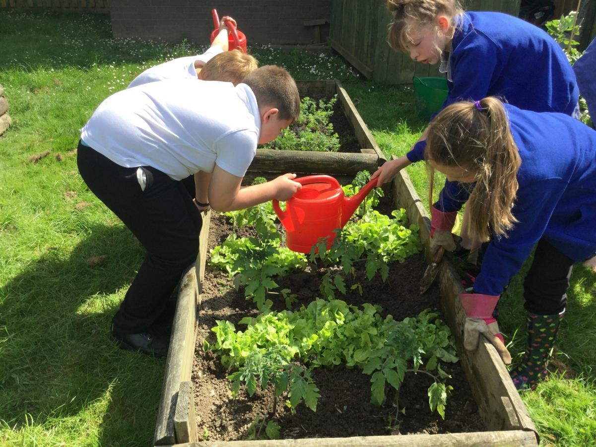 Remember to visit our Farmers’ Market on Friday 6th July 2018