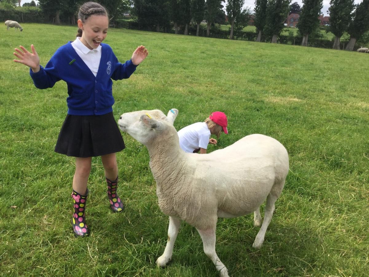 Farm visit