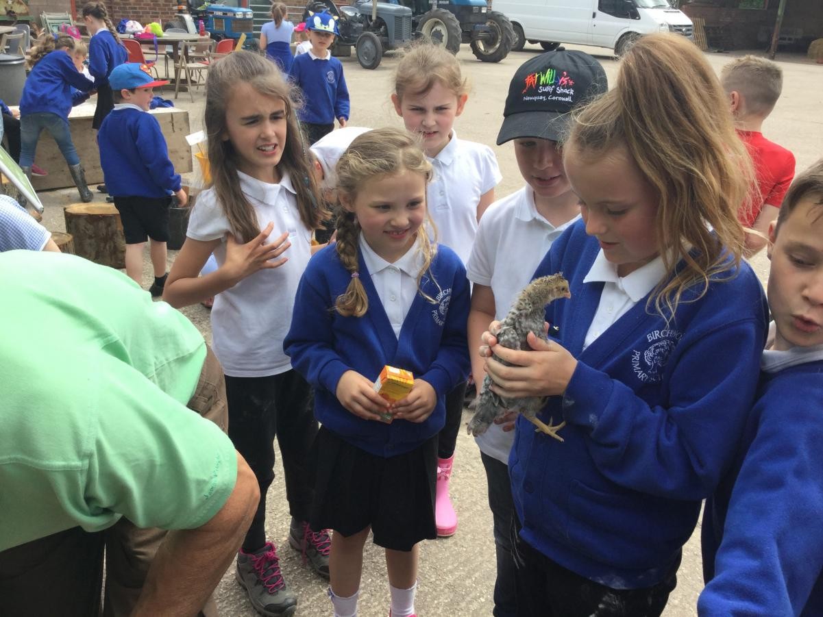 Farm visit