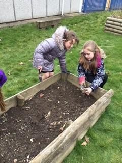 Eco and Science Clubs working together.