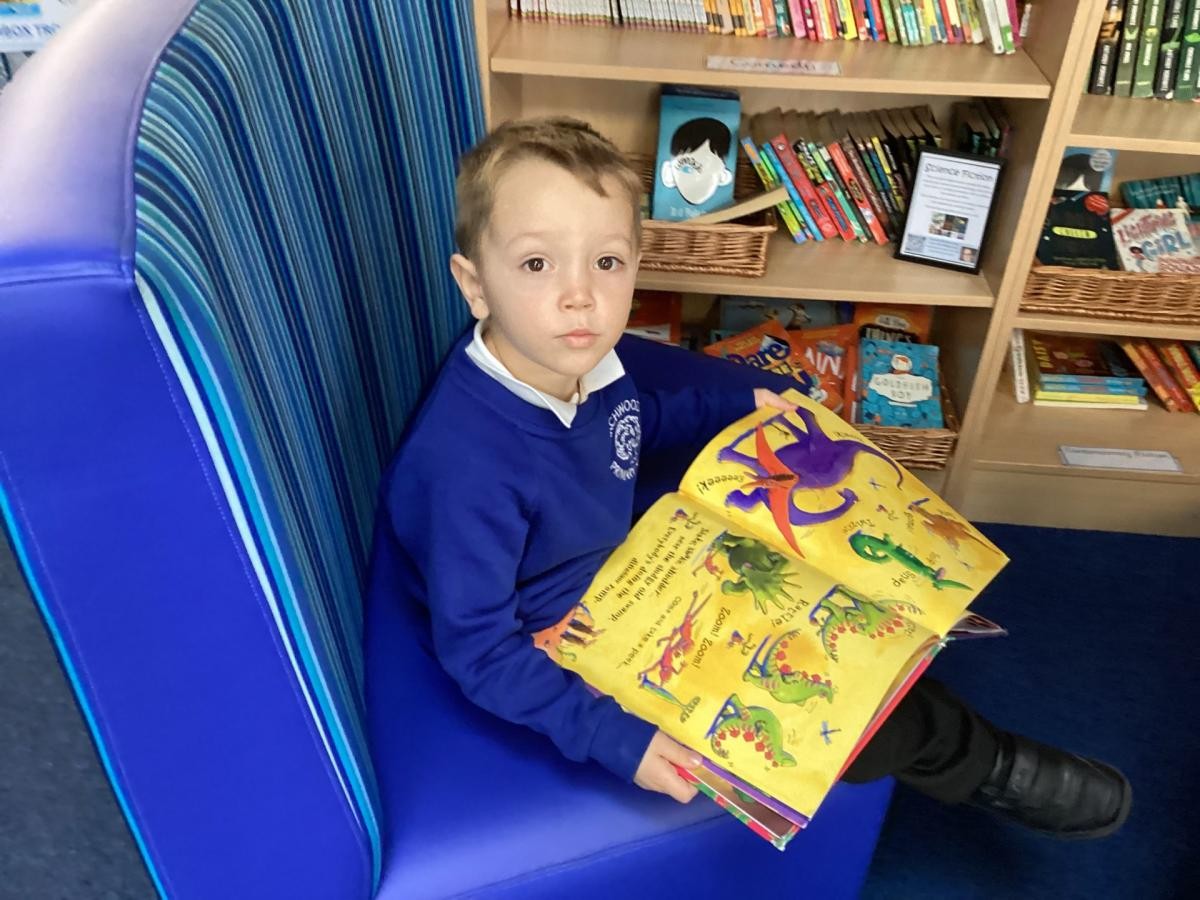 Chestnut Class enjoyed their first visit to the school library.  They found lots of books they liked and had no trouble choosing one to borrow.