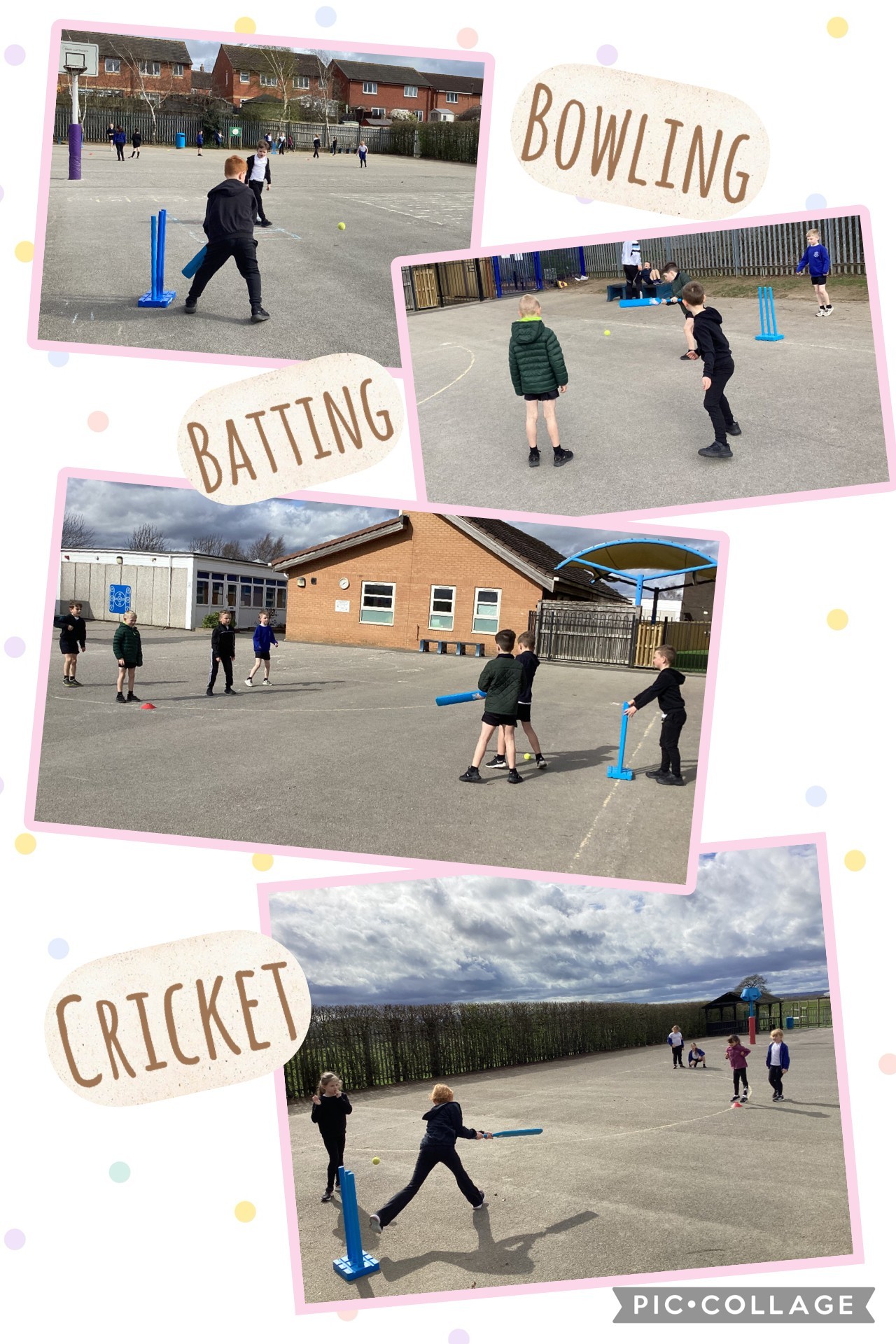 cricket