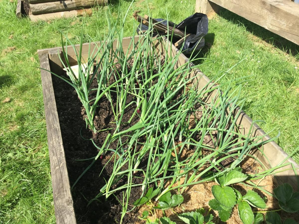 Remember to visit our Farmers’ Market on Friday 6th July 2018