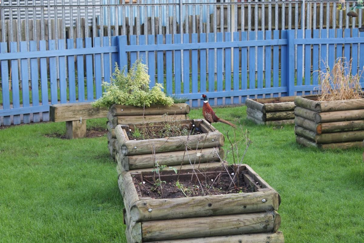 Visitor to Kitchen Garden