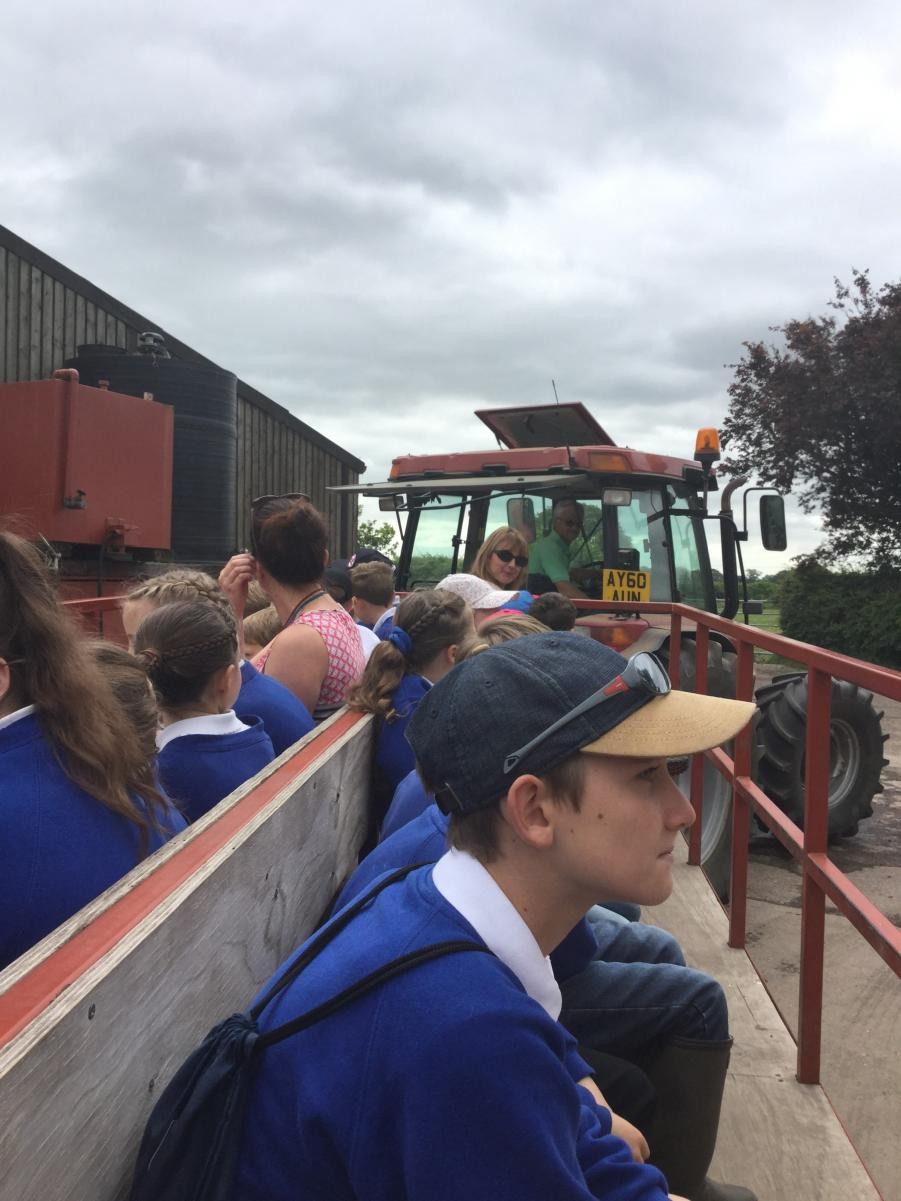 Farm visit