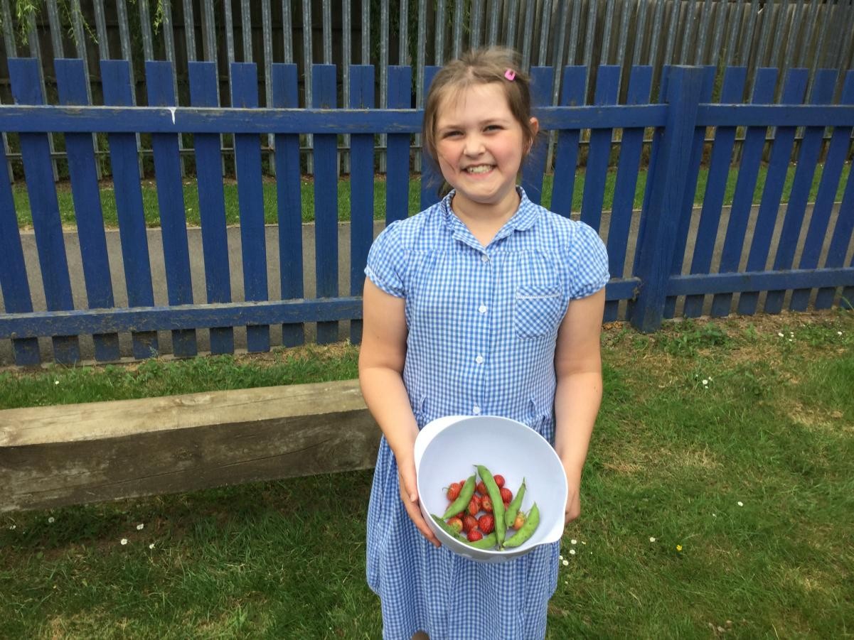 Eco Council - Growing