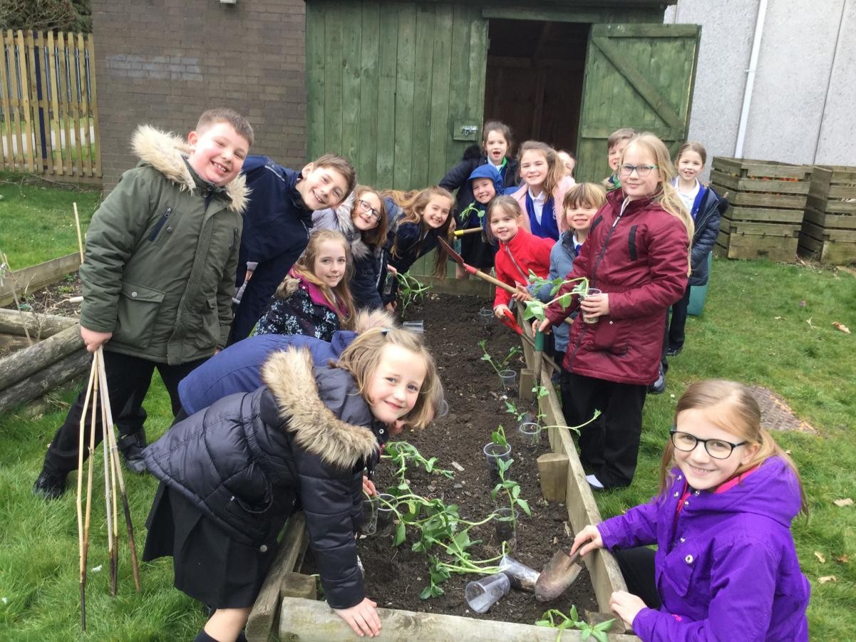 Eco and Science Clubs working together.