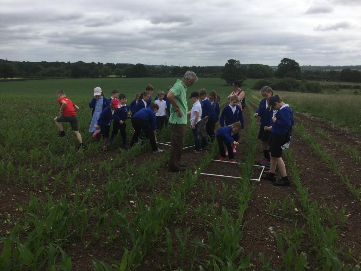 Farm visit