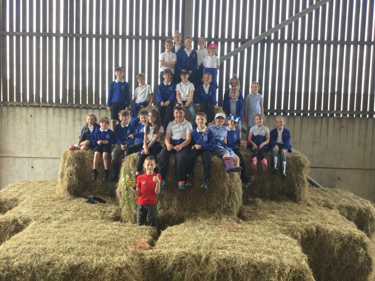 Farm visit