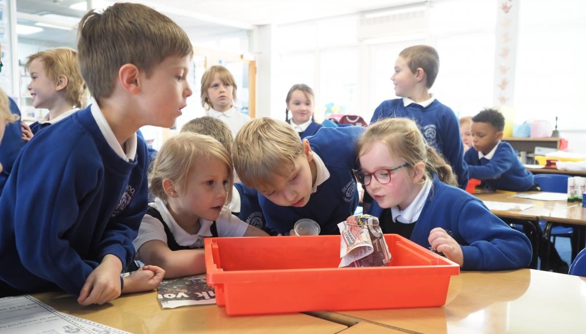 Pupils working together in class