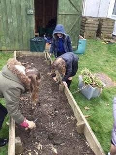 Eco and Science Clubs working together.