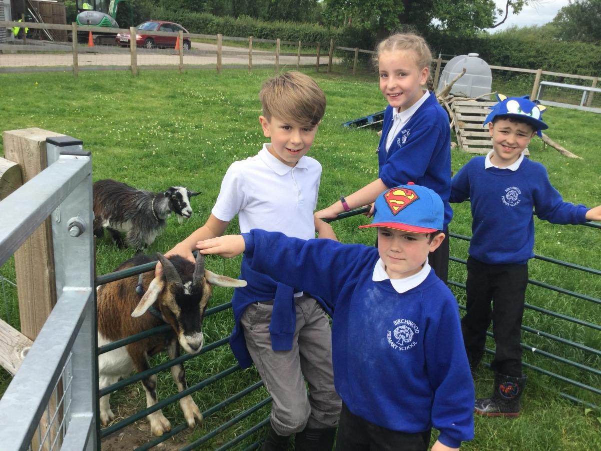 Farm visit