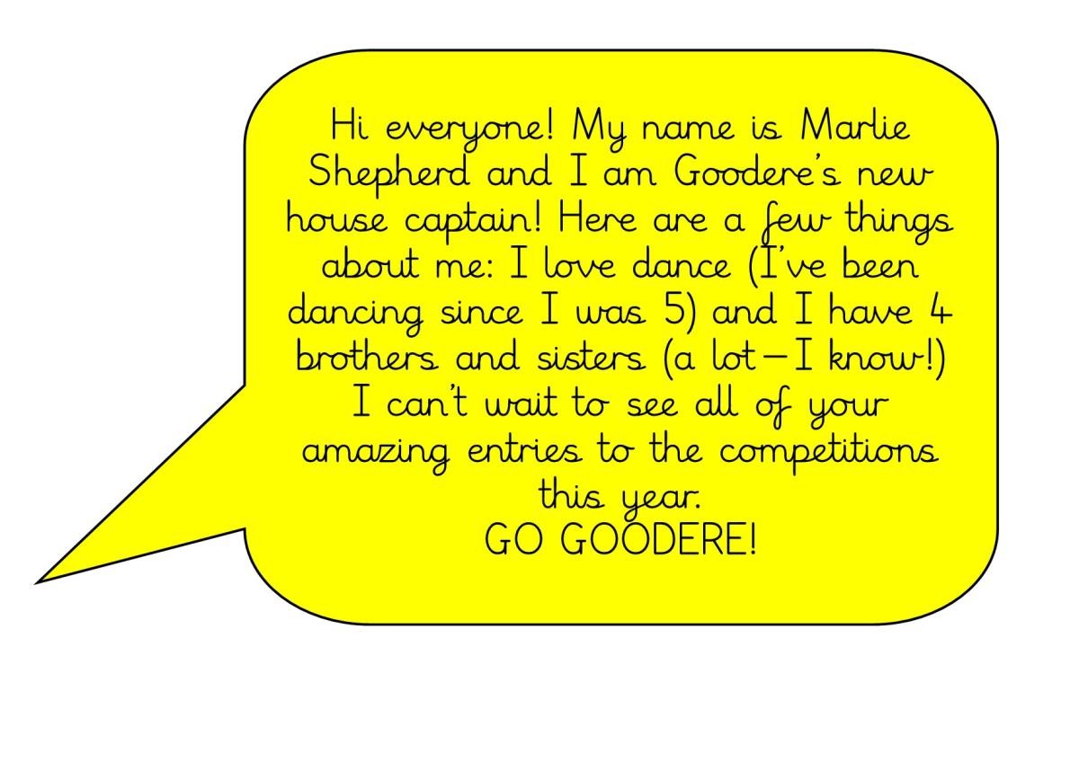 2024-2025 House Captain