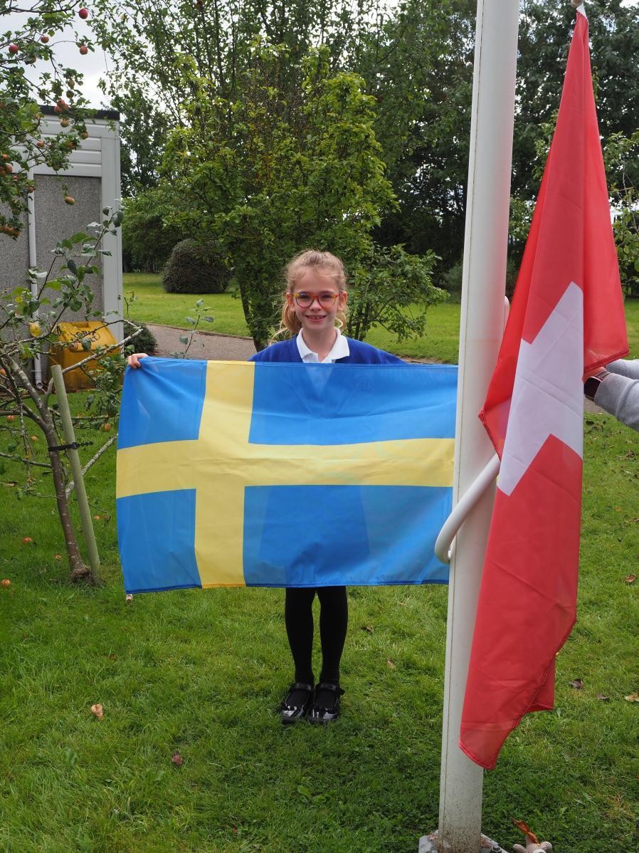 Resident flag expert