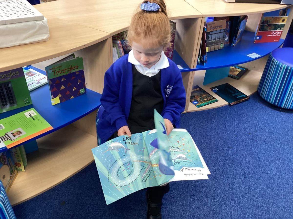 Chestnut Class enjoyed their first visit to the school library.  They found lots of books they liked and had no trouble choosing one to borrow.