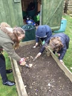 Eco and Science Clubs working together.