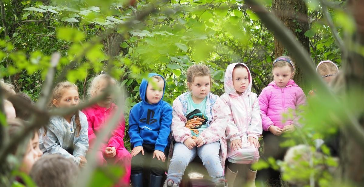 If you go down to the woods today