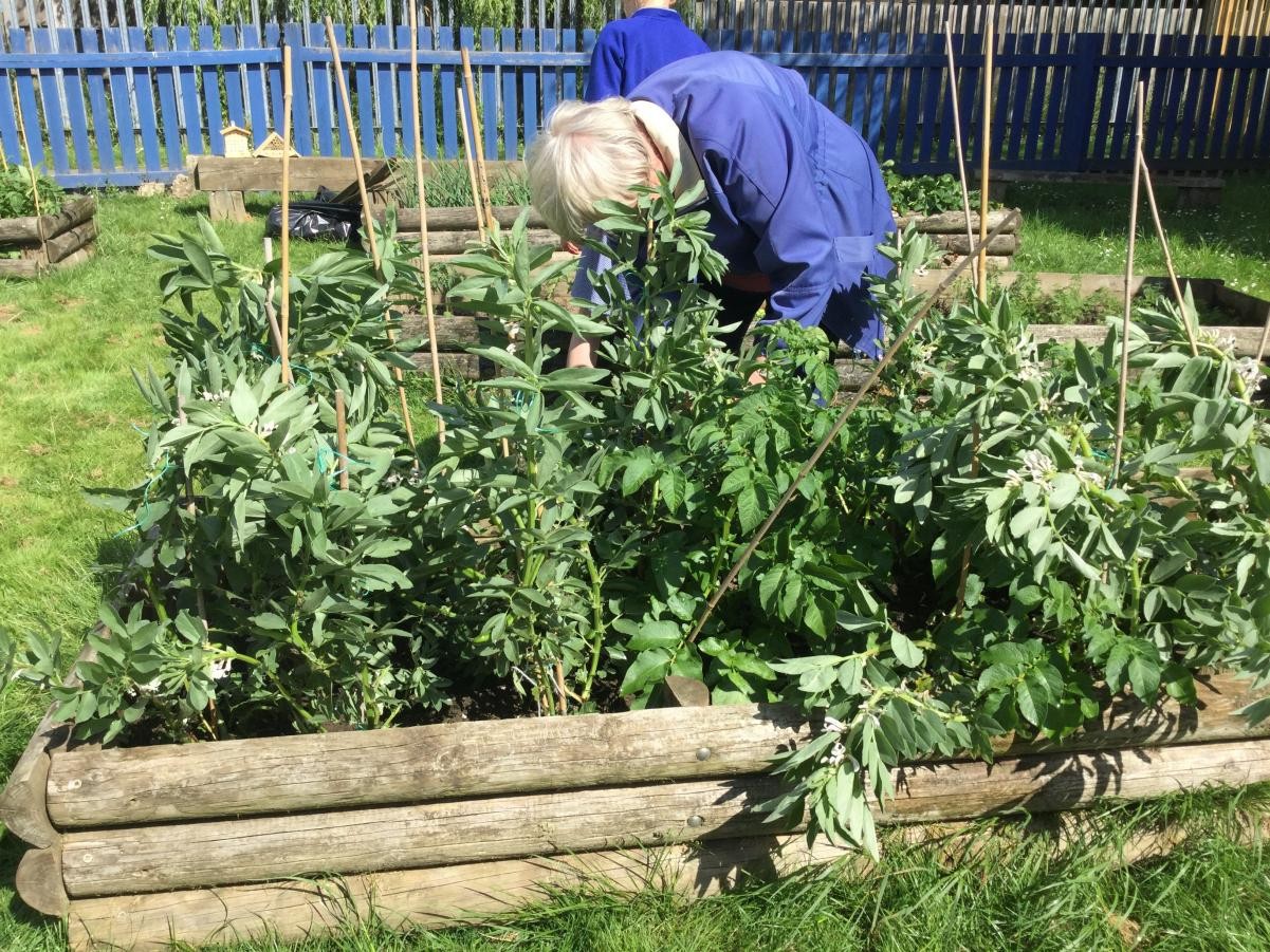 Remember to visit our Farmers’ Market on Friday 6th July 2018