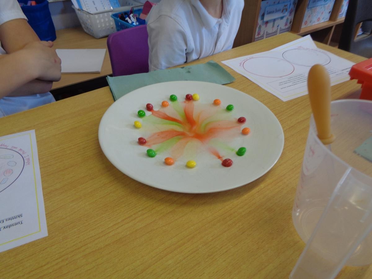 Dissolving skittles on Science day. 
