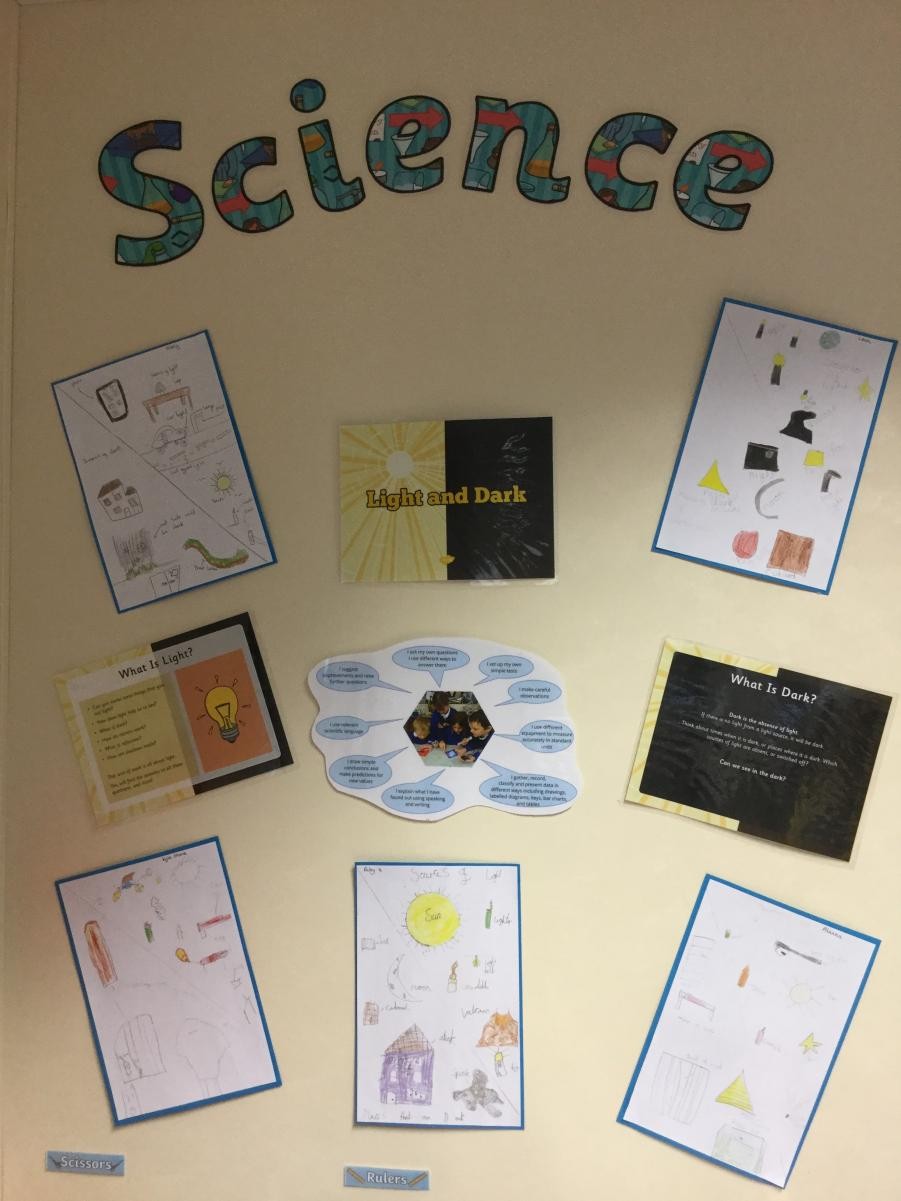 Herons Science working wall